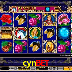 Exclusive Offers cynbet